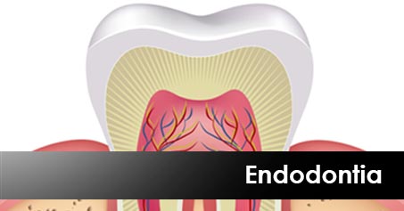 endodontia